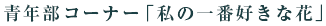 青年部コーナー「私の一番好きな花」