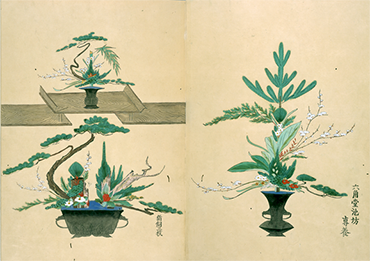 江戸時代の立花図集