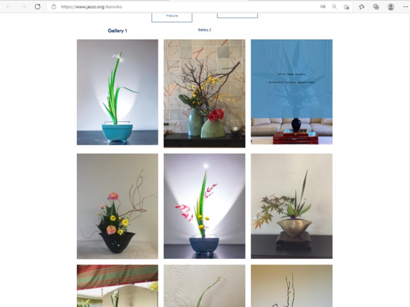 News IKENOBO ORIGIN OF IKEBANA