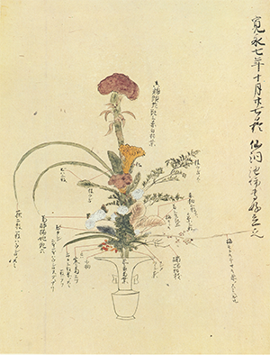 池坊の歴史 - Ikenobo 花の甲子園 - 今咲かせよう、君の花。