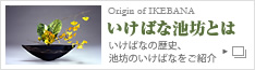 いけばな池坊とは いけばなの歴史、池坊のいけばなをご紹介