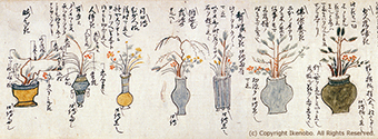 花王以来の花伝書