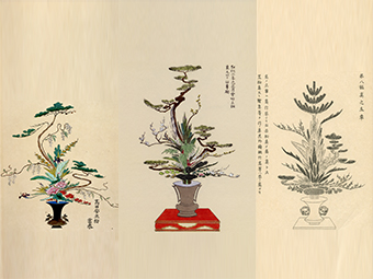 左：元禄時代の立花 「新撰 瓶花図彙」中：幹作りの立花 「専明瓶花集」右：立花正風体 「華かがみ 立華栞の巻」