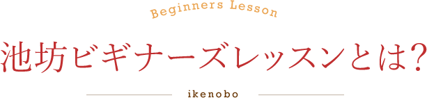 池坊ビギナーズレッスンとは？