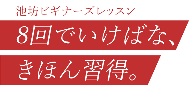 池坊ビギナーレッスン　8回でいけばな、きほん習得。