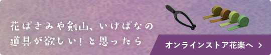 花ばさみや剣山、いけばなの道具が欲しい！と思ったら オンラインストア花楽へ