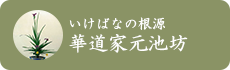 いけばなの根源 華道家元池坊