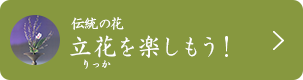 伝統の花 立花を楽しもう